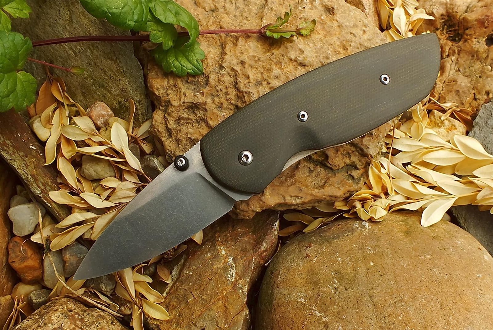 Teius