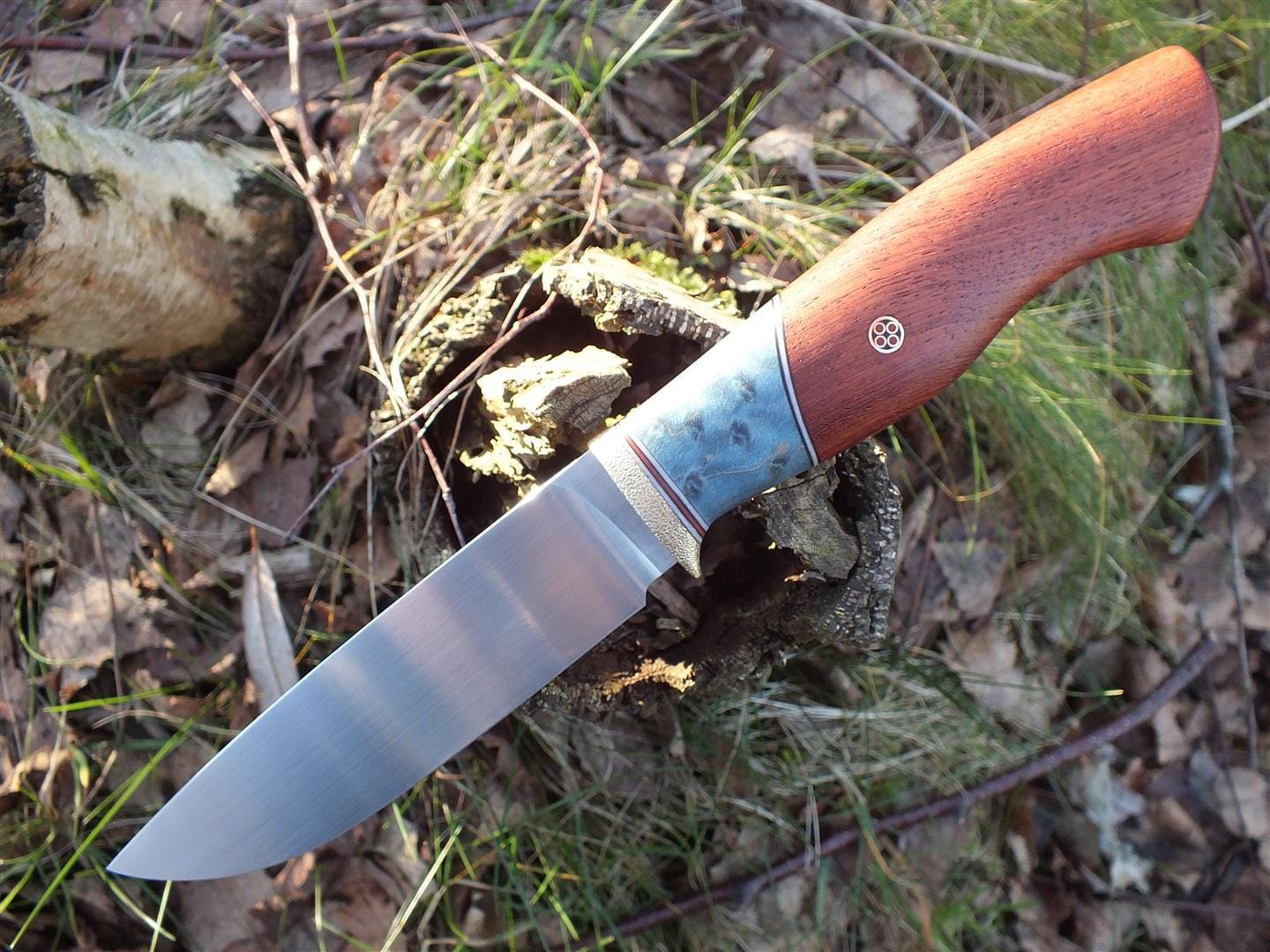 Vipera II