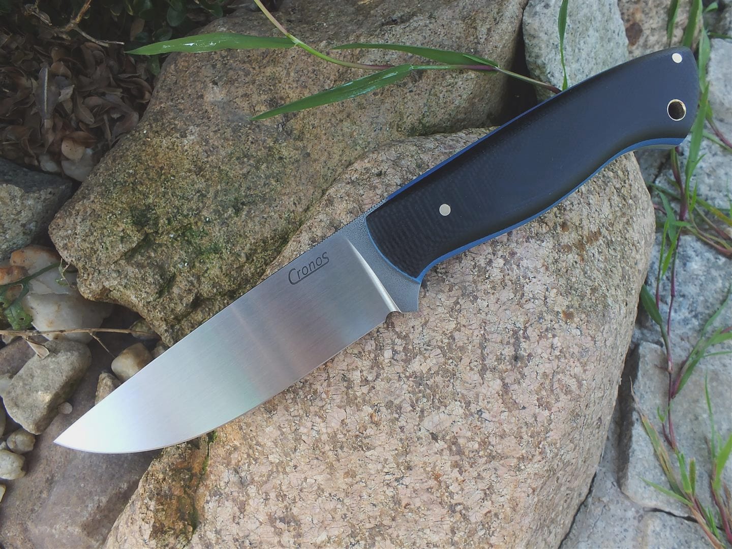 Serratus Mini