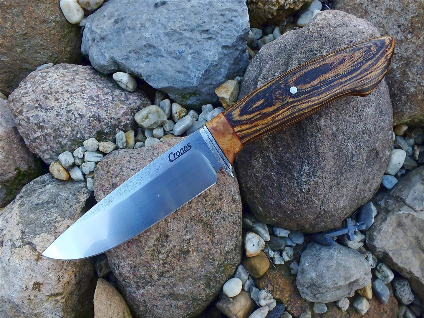 Dicrodon