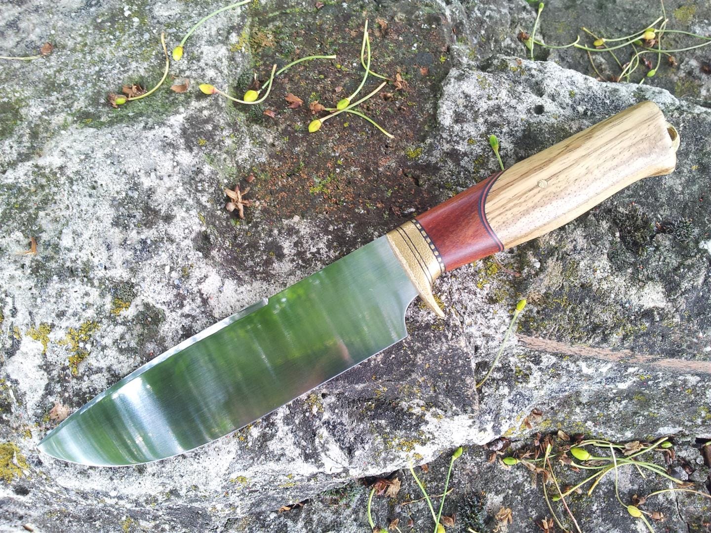 Ovophis