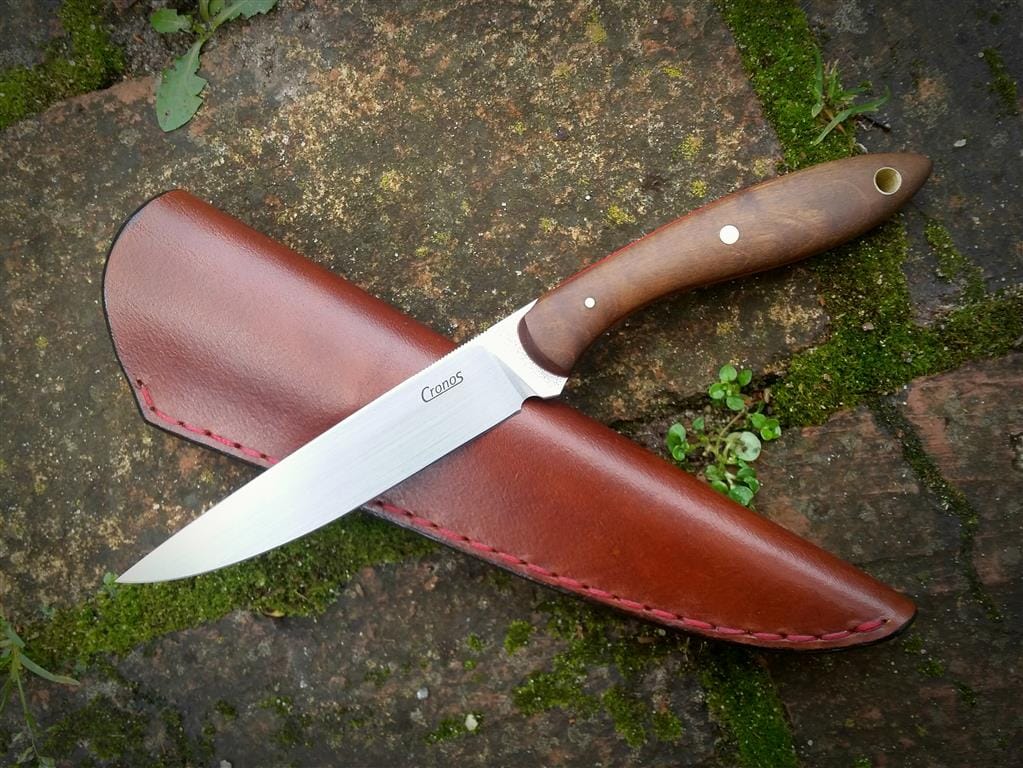Microlophus II
