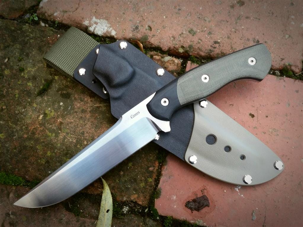 Alligator VI
